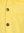 Cazadora en tejido vaquero de color amarillo LOSAN