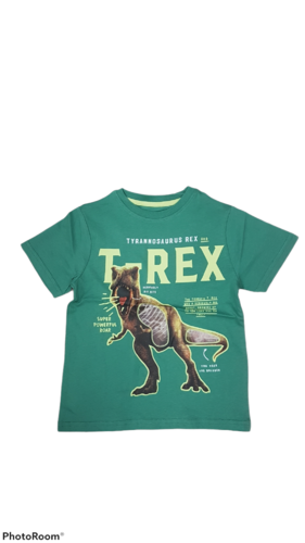 Camiseta dinosaurios ZIPPY