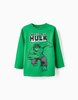 Camiseta Hulk Zippy